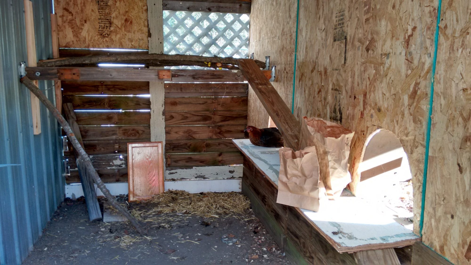 Making the 'hen house'.