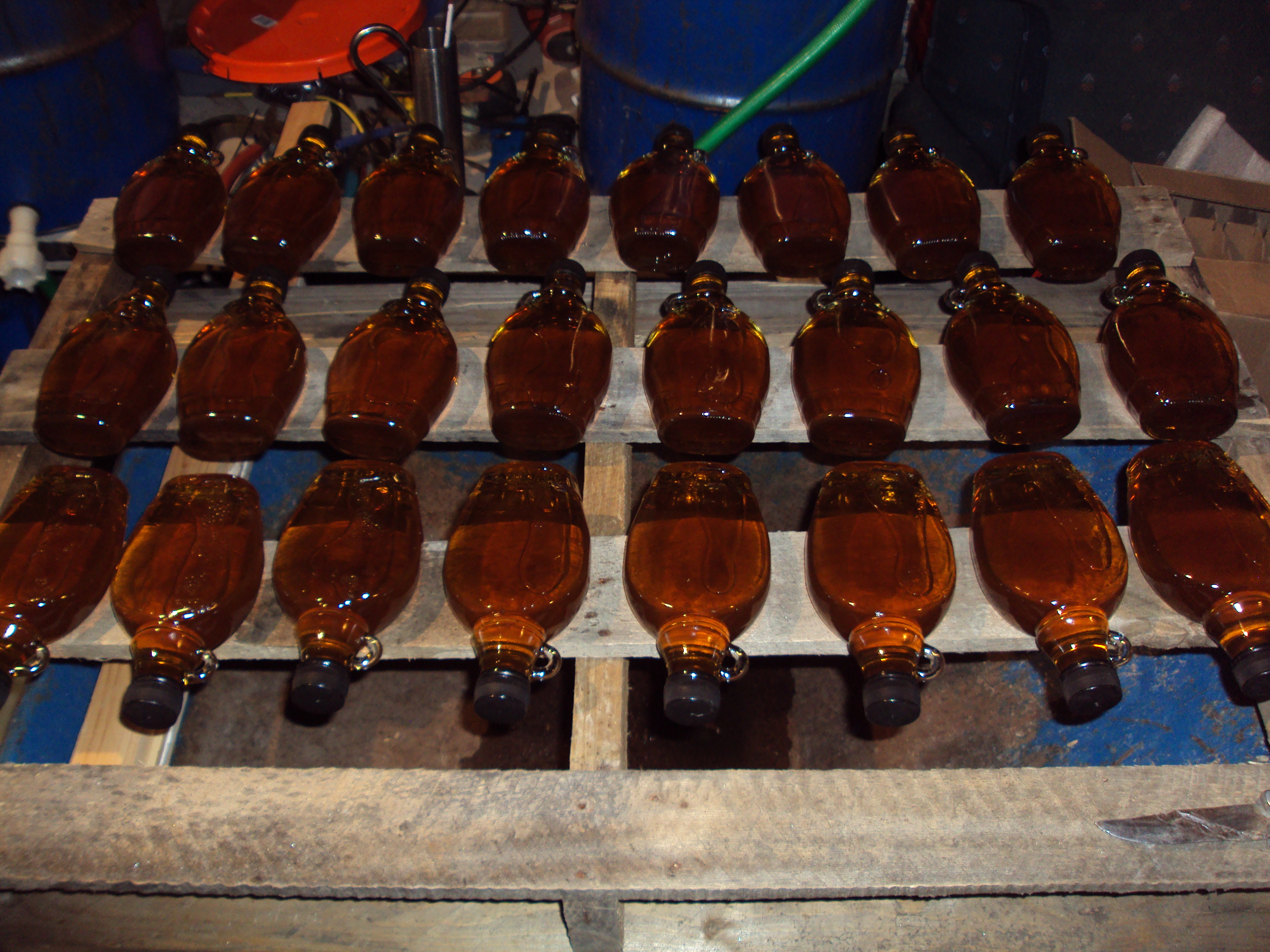 Maple Syrup