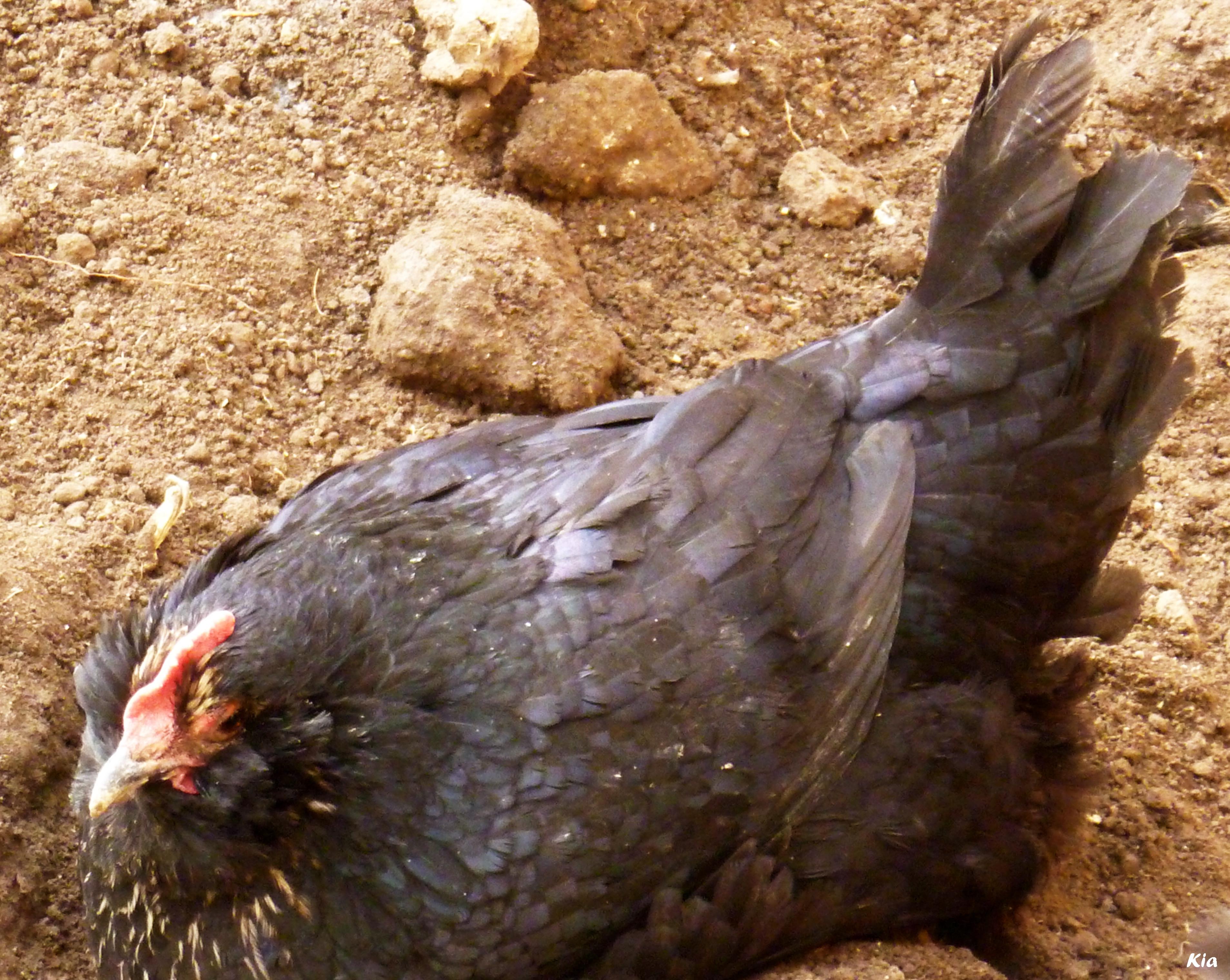 marand azerbaijan 11