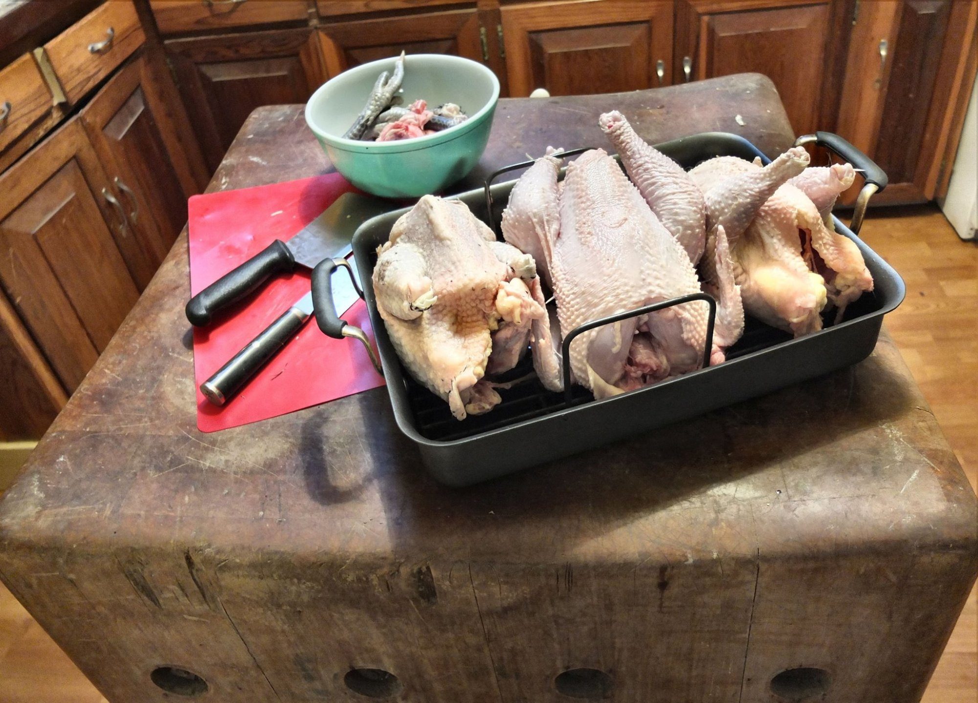 marans, bresse (roo), dorking