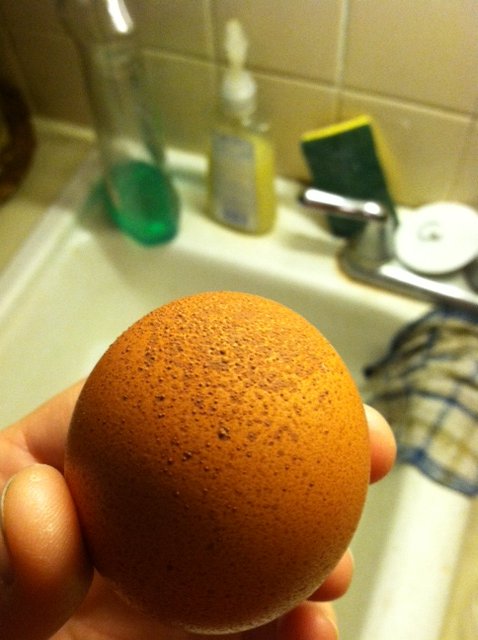 Maran's bumpy egg