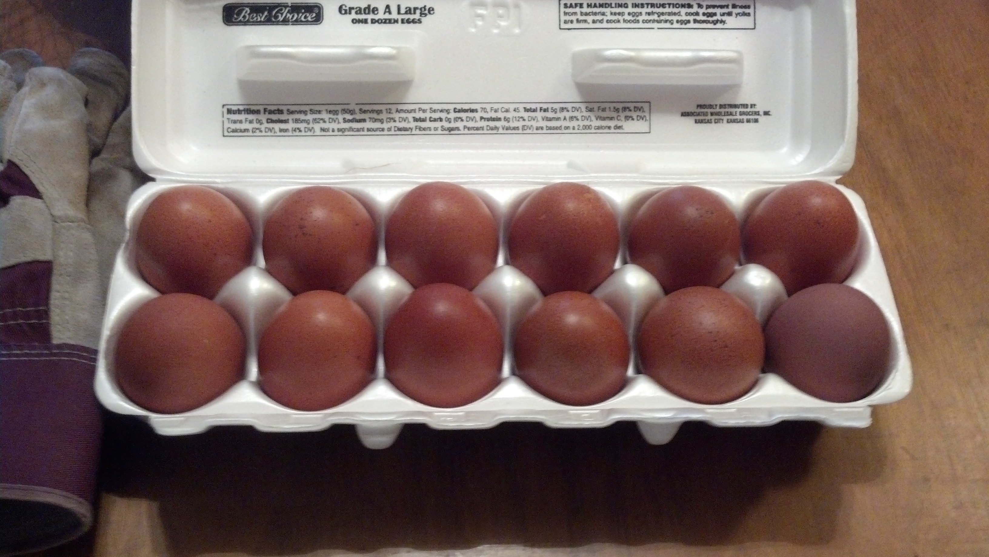 Marans eggs