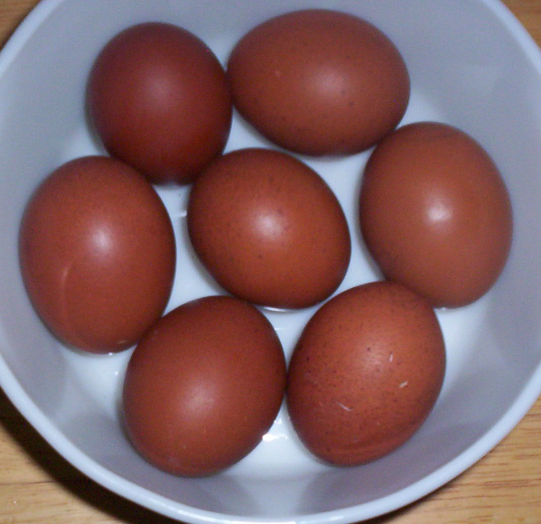maras eggs 3
