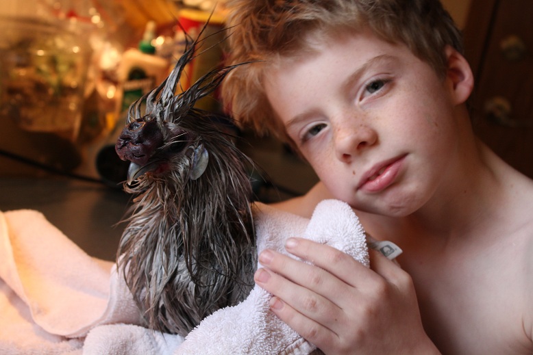 March 14-- after bath