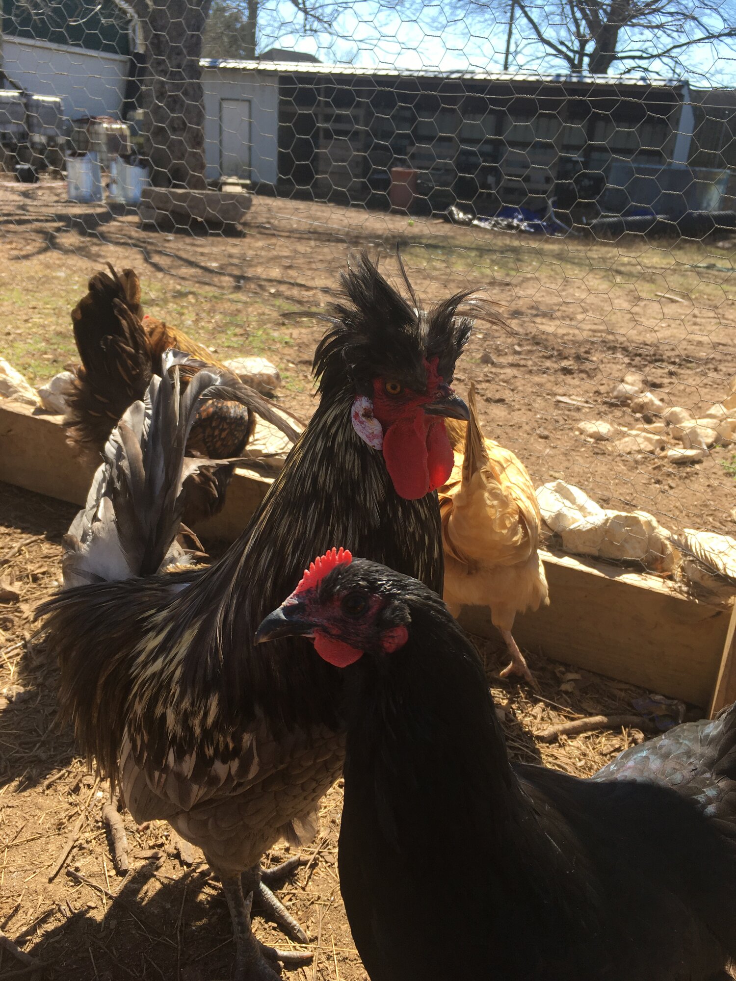 Marco and Lorrie.JPG