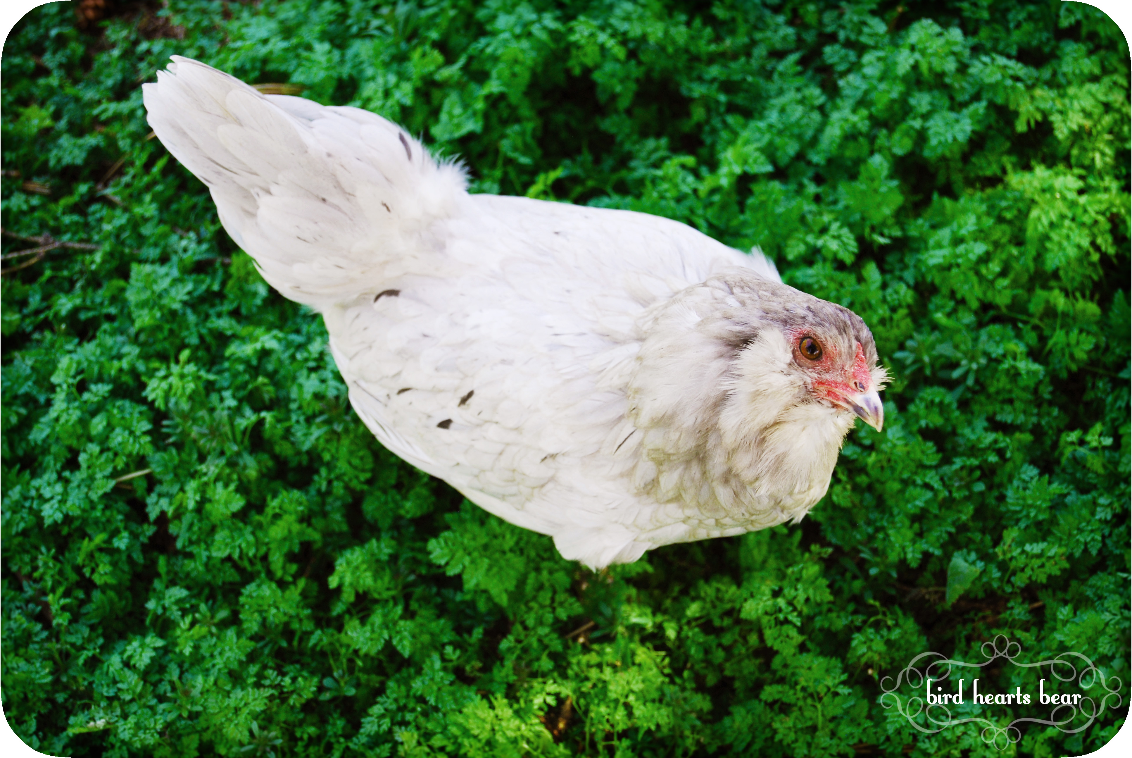 Marie is very inquisitive.