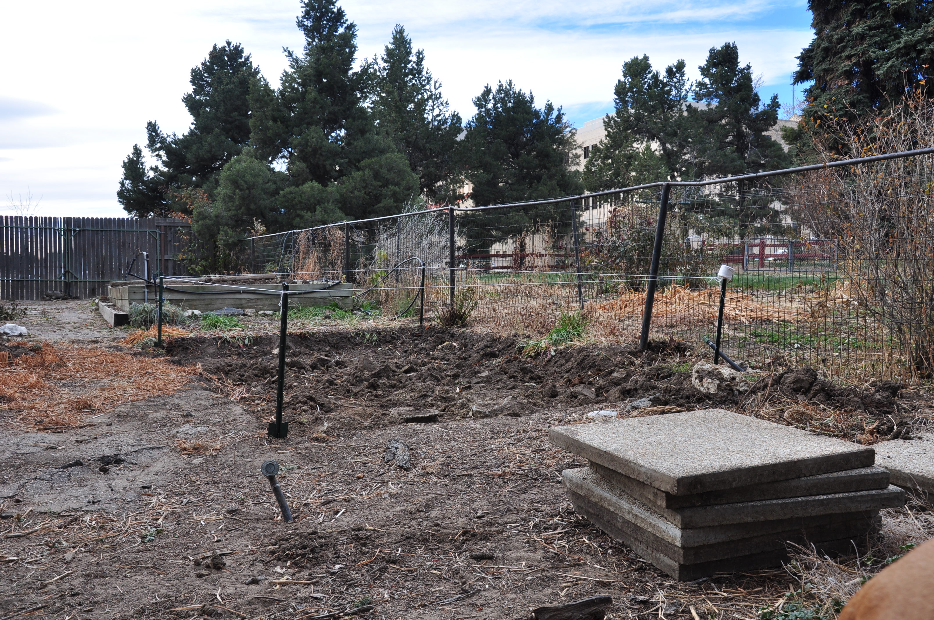 Marked out the foot print for the foundation of the chicken coop.