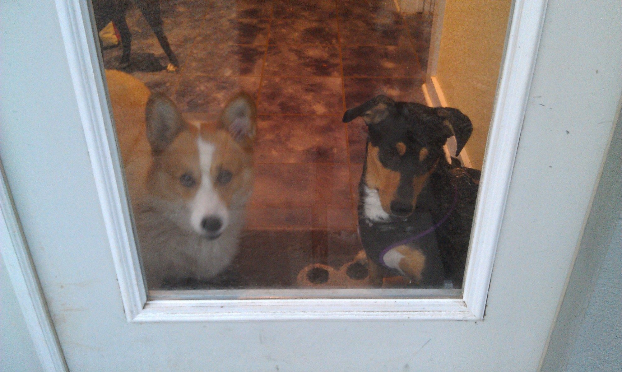 Marley and Nita