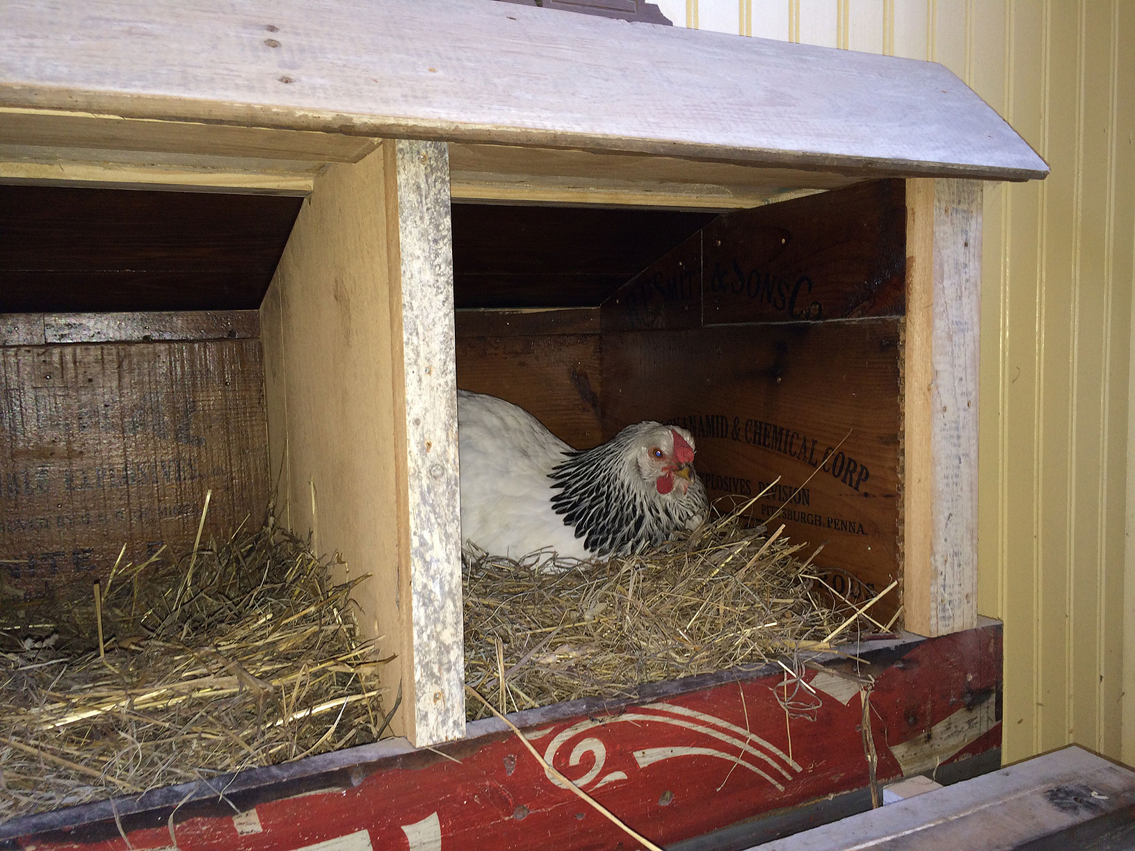 Marsala in the box...