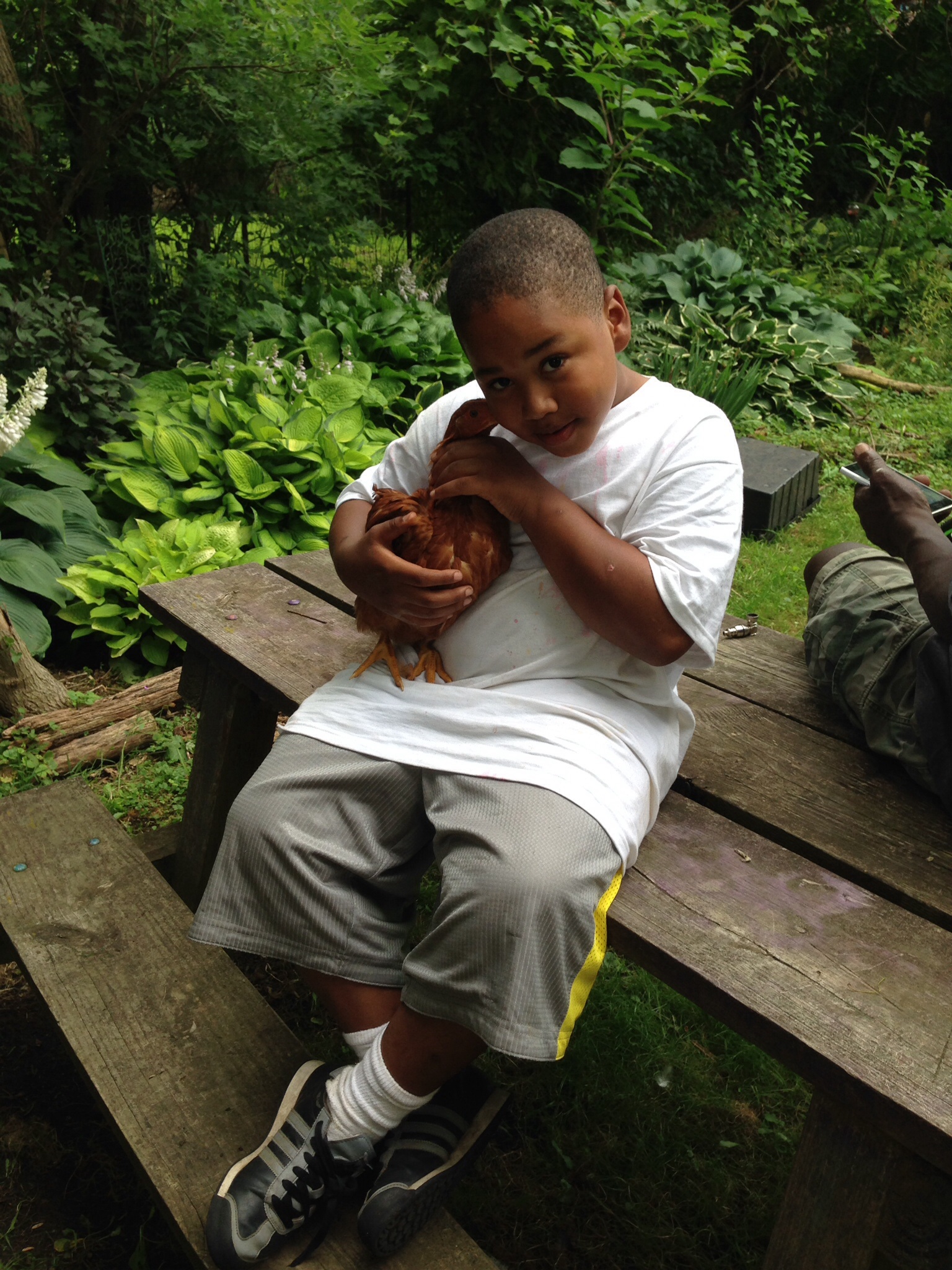 Marvelous loves the chickens and they follow him all around the yard.