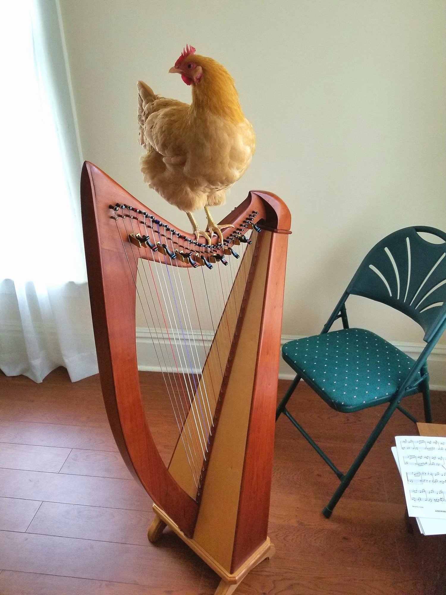 Mary and the Harp.