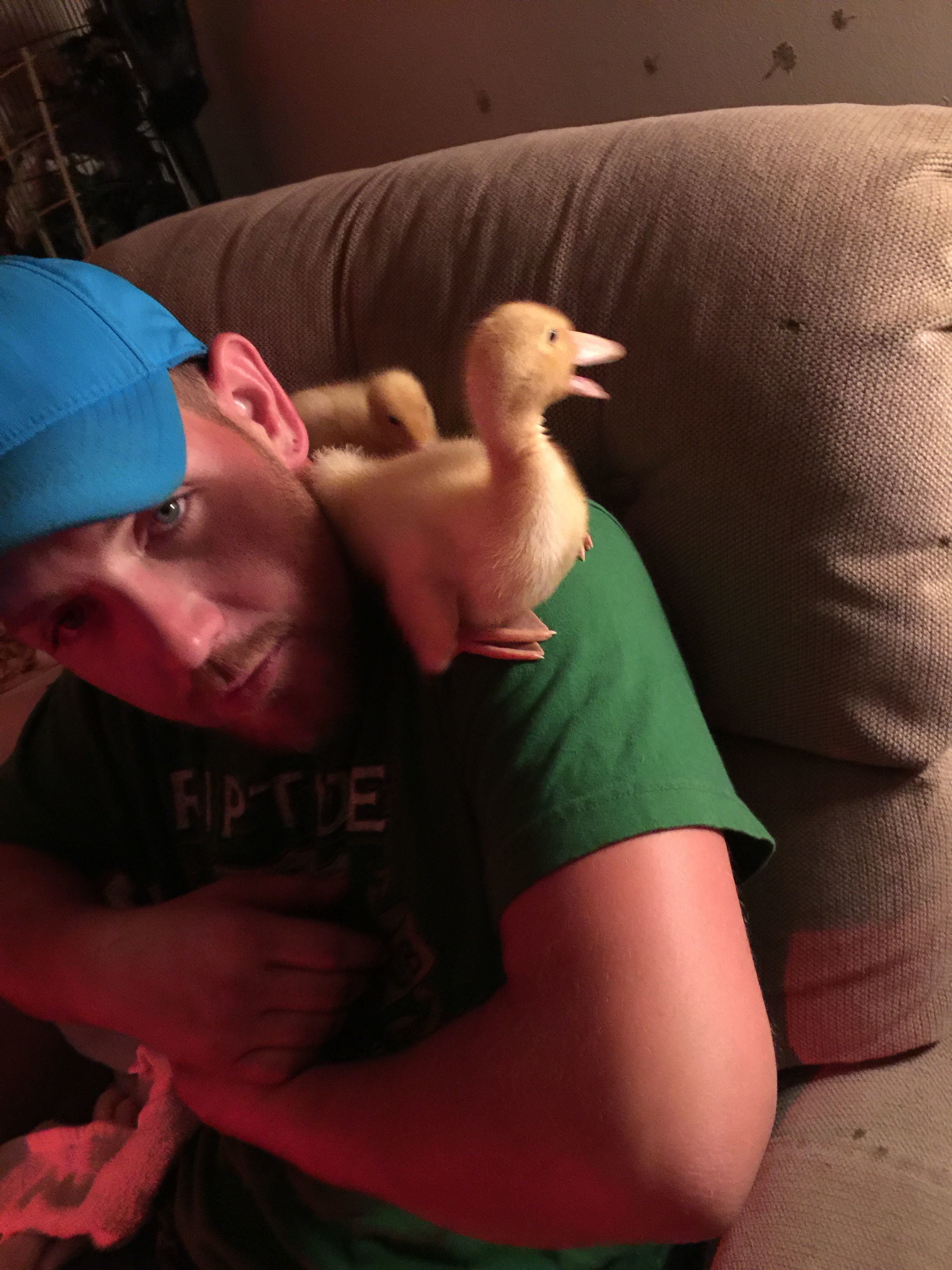 Matt with two of the baby Pekins!