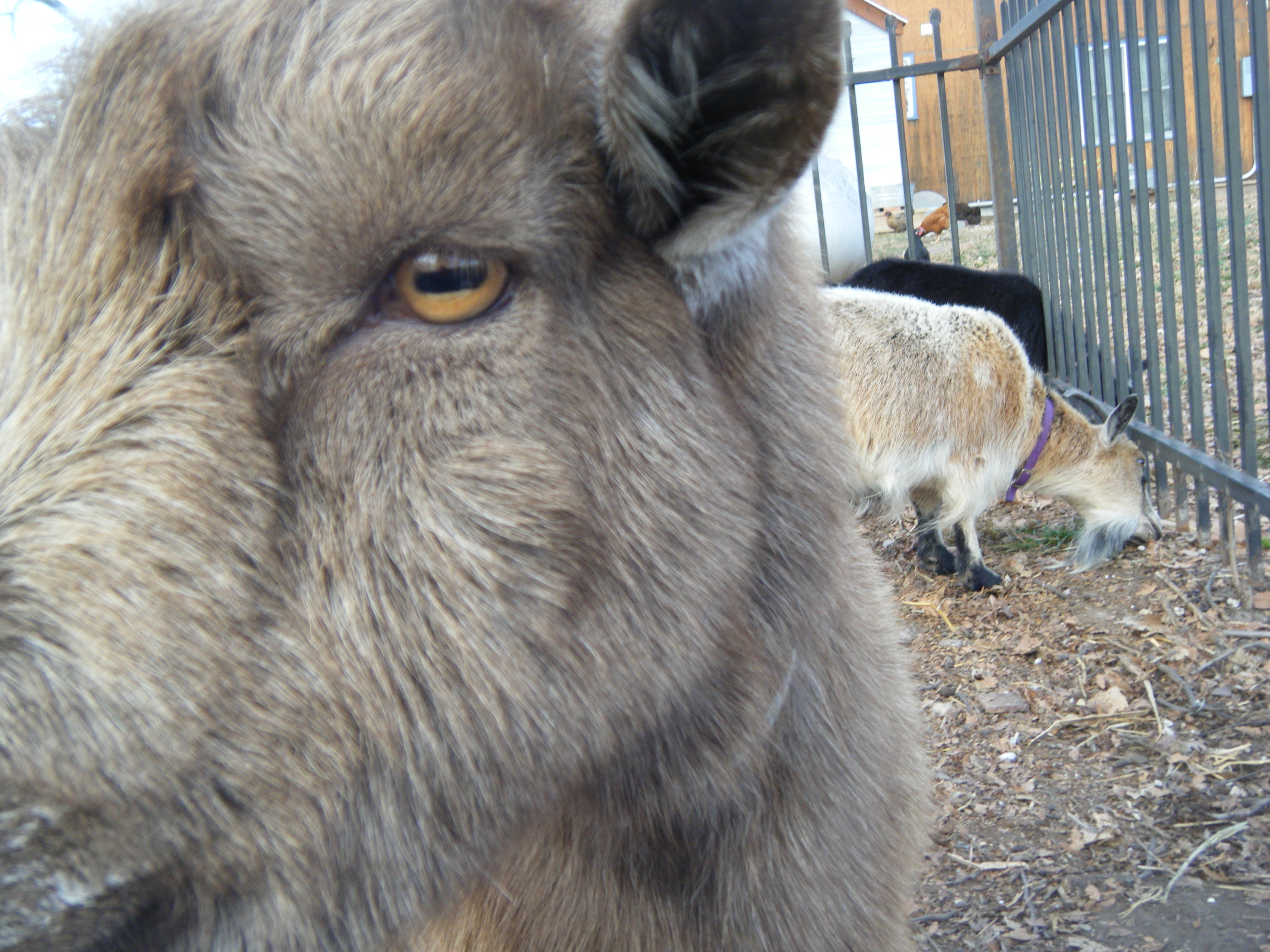 Max saw something interesting.....