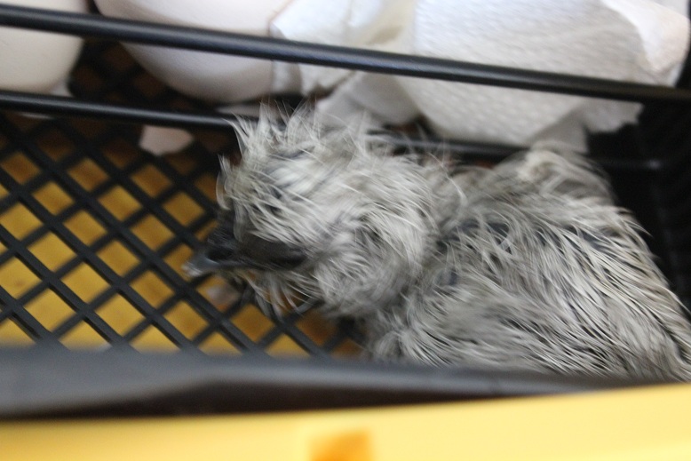 May 3rd-- Drying off!!