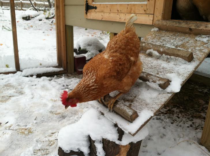 Maybe if I just stretch..