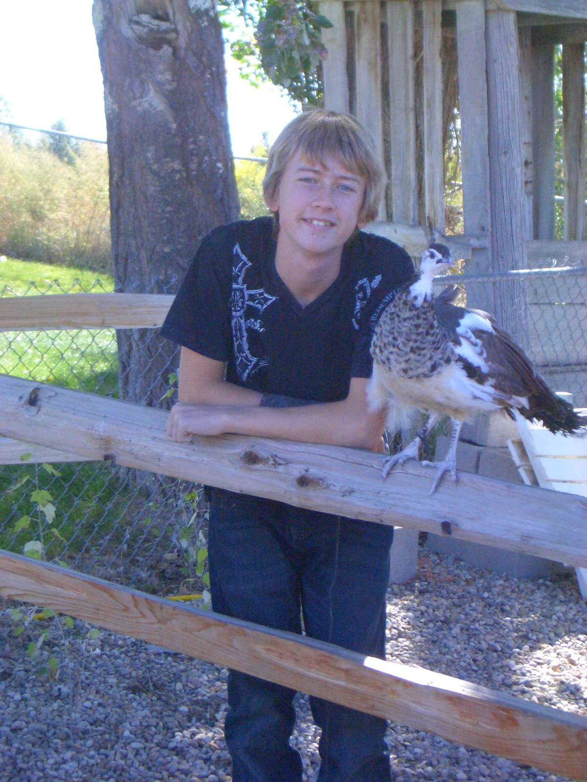 Me and my Pied Peacock Thor