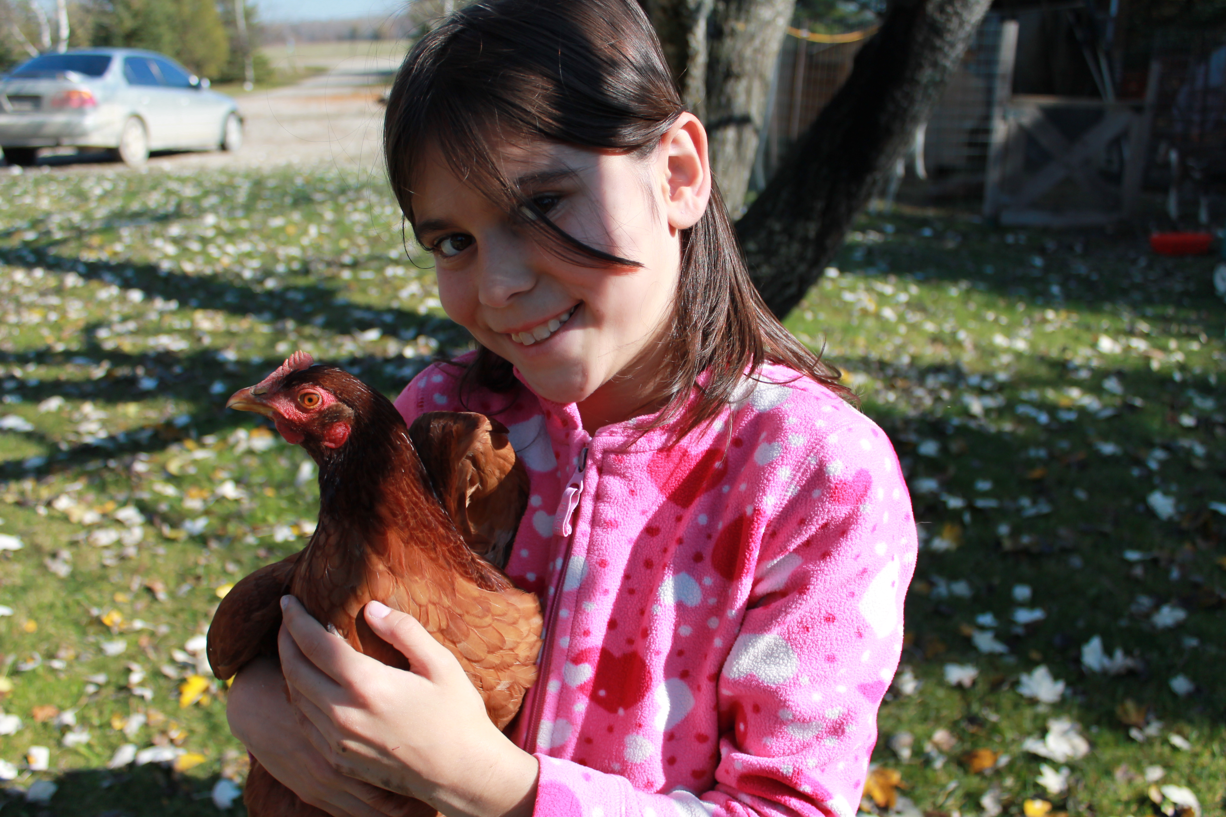 Me and my Rhode Island Red Amelia Cluckheart