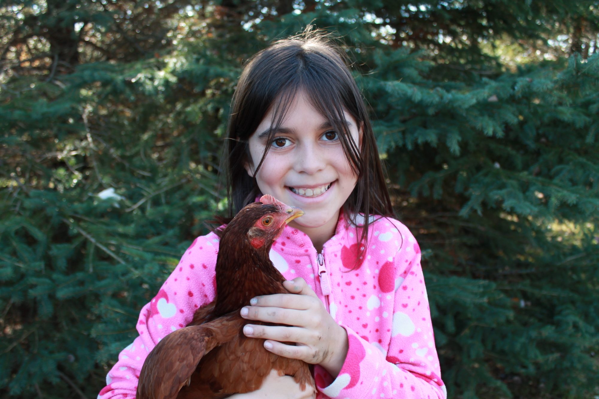 Me and my Rhode Island Red Amelia Cluckheart