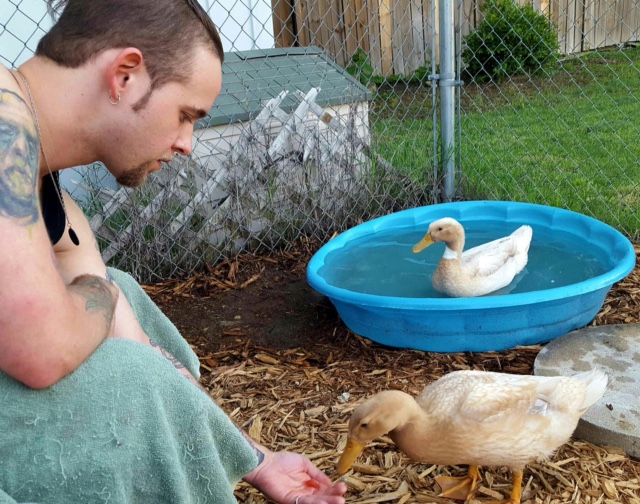 Me and my two Buff ducks, Howie and LaWanda.