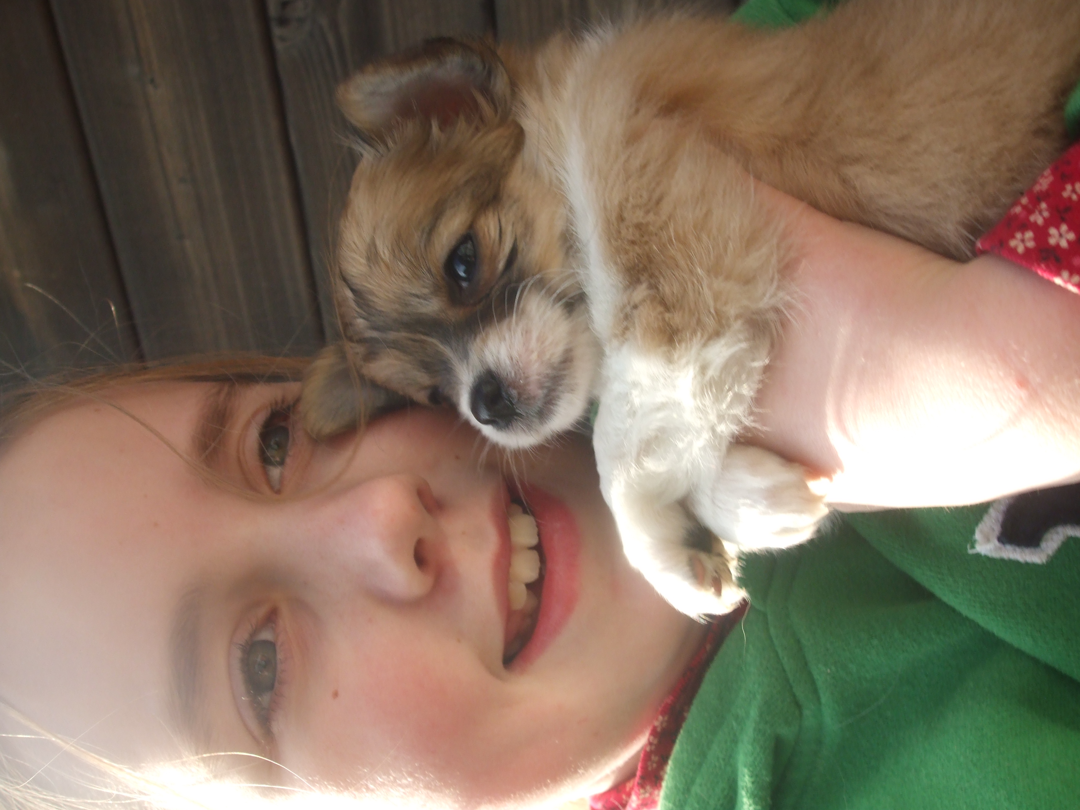 Me and Tilly's puppy