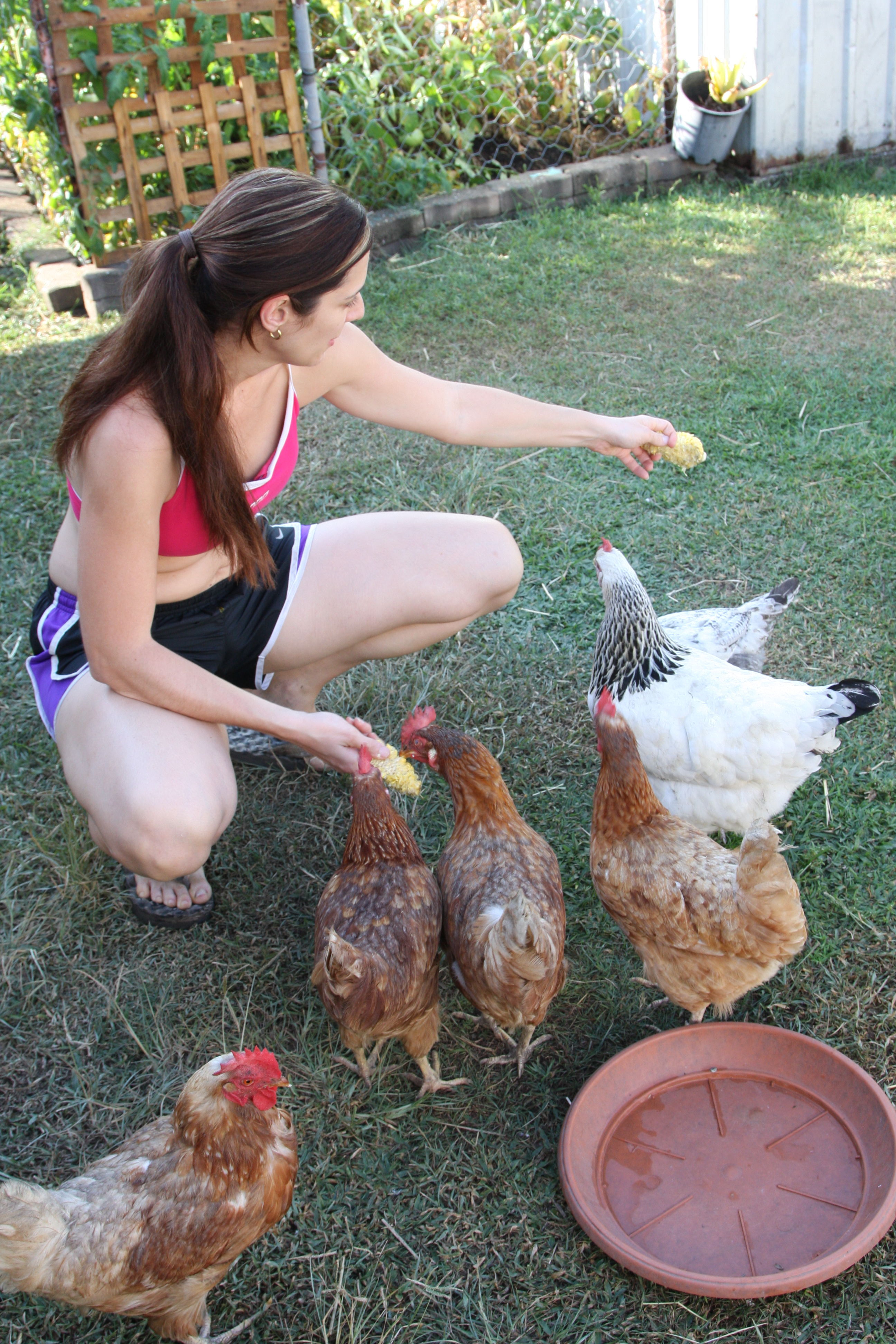 Me feeding the chickens.