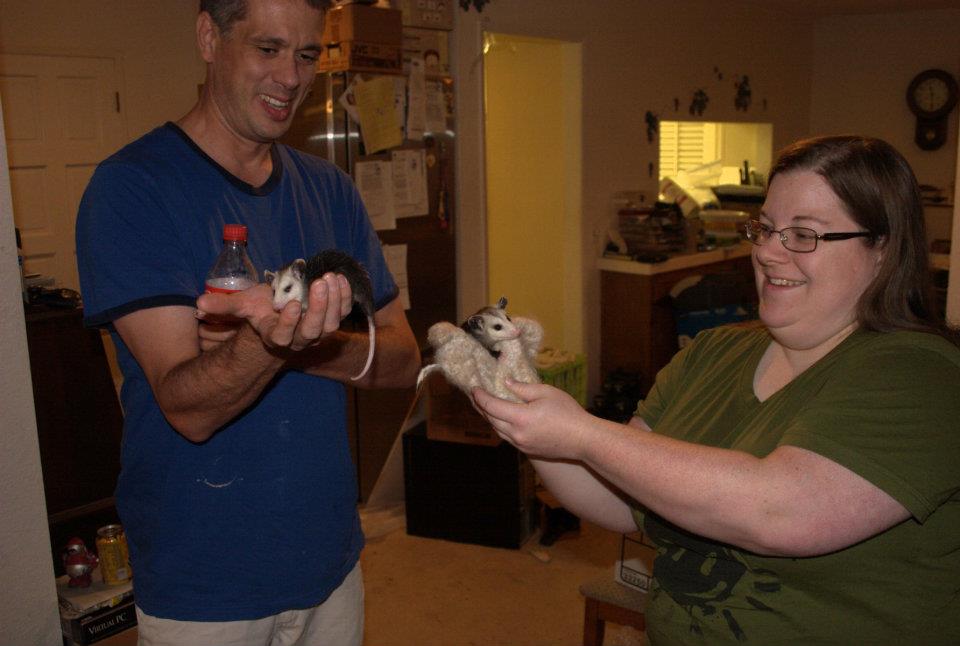 Me, Itchy, Scratchy, Katy Dodd