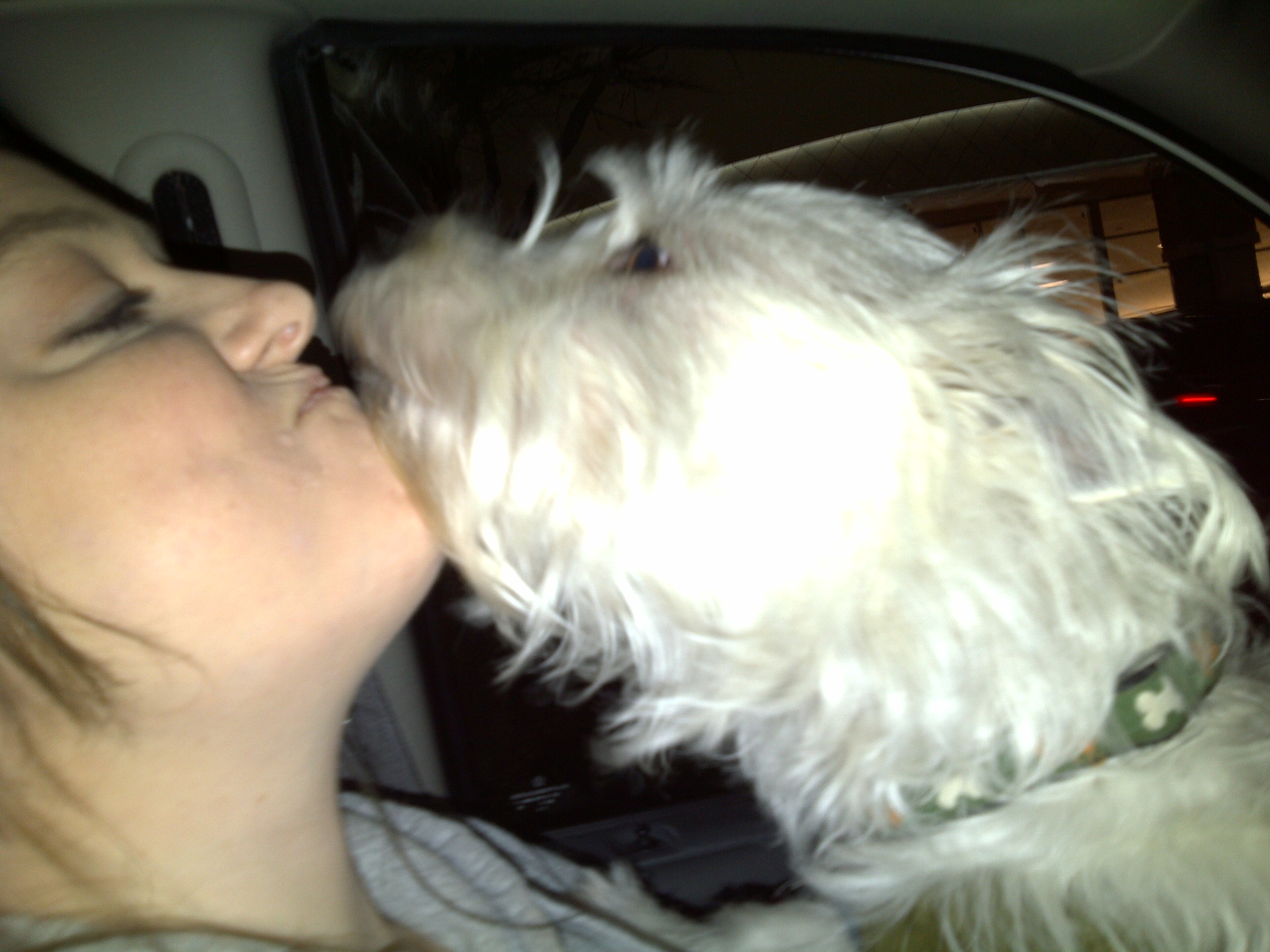 Me saying Good-Bye to my dog Cracker. As we downsized 2 years ago he became too much for me to handle between two kids school and a full time job and when I found out we were expecting that's when I felt he needed more attention than he was currenting recieving and about to recieve less. So I interviewd and met with a few people and chose a wonderful family for him. When I miss him too much I message her and she sends me photos!
