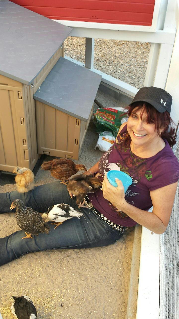 Me sitting on the coop floor when they first moved out of my shower and into the new coop. The hen house was NOT complete but they were too large to stay in my shower... so I had to buy a temporary hen house (the plastic one pictured)... they are after the wax worms in the blue cup