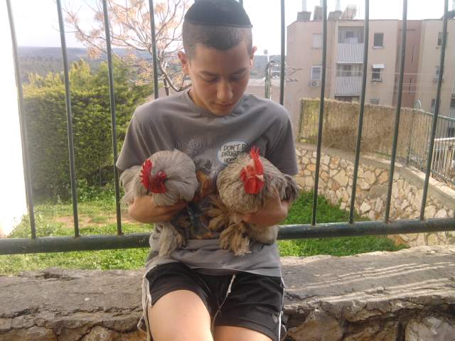 me, tom and jery
