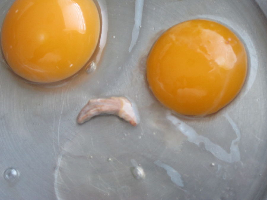 Meat in egg