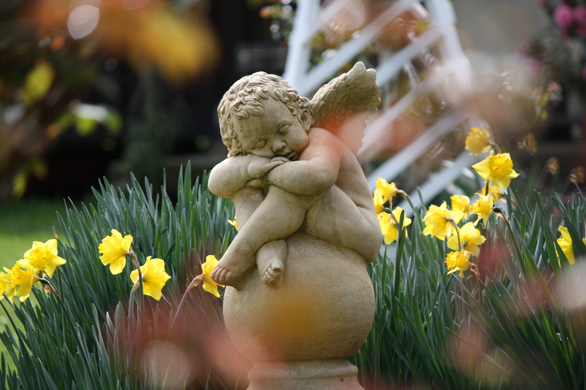 Memorial to " Rita "