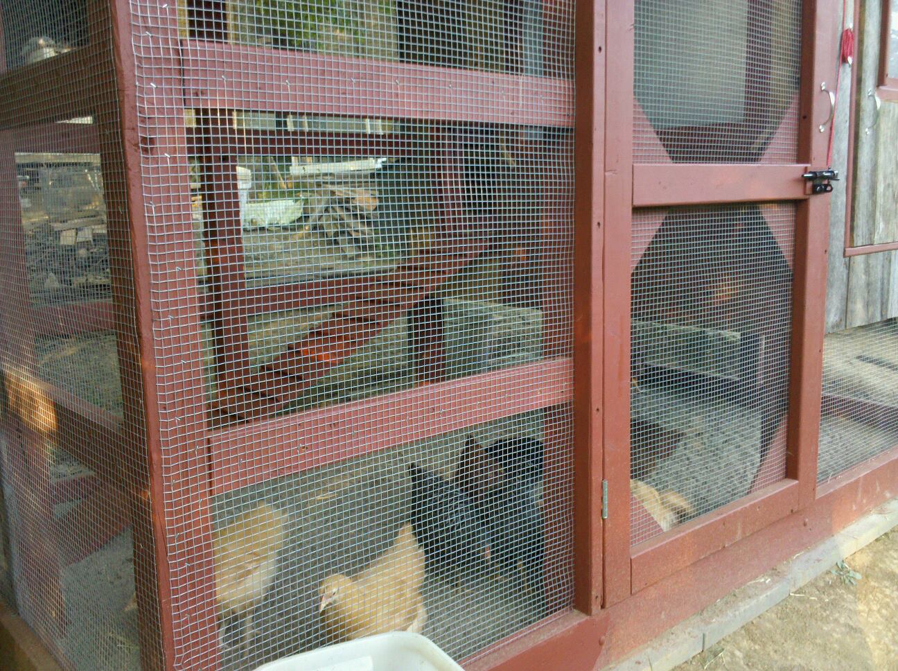 Mesh on the sides. I went with 3/8" so coons and possums can't reach through.