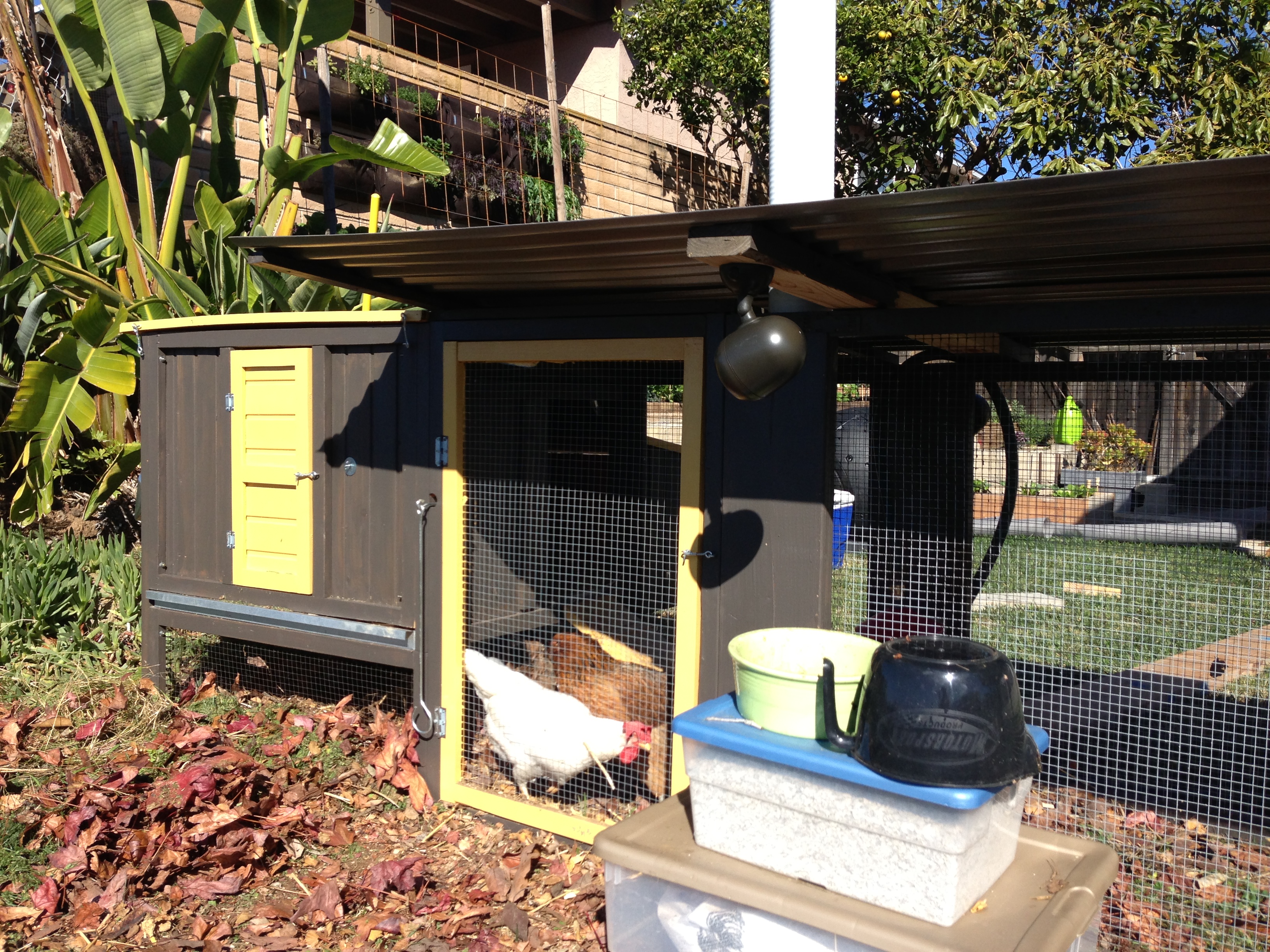 Mid Century Coop & Run