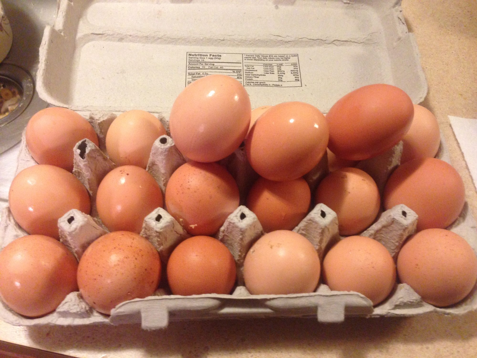 Mid February, 14 degrees out and snow on the ground.  Still getting 8 a day out of 10 hens. :)