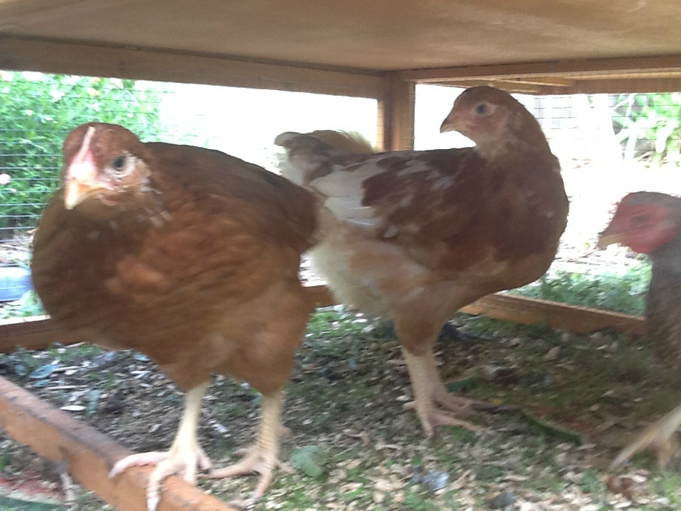Mildred is definitely the curious one!