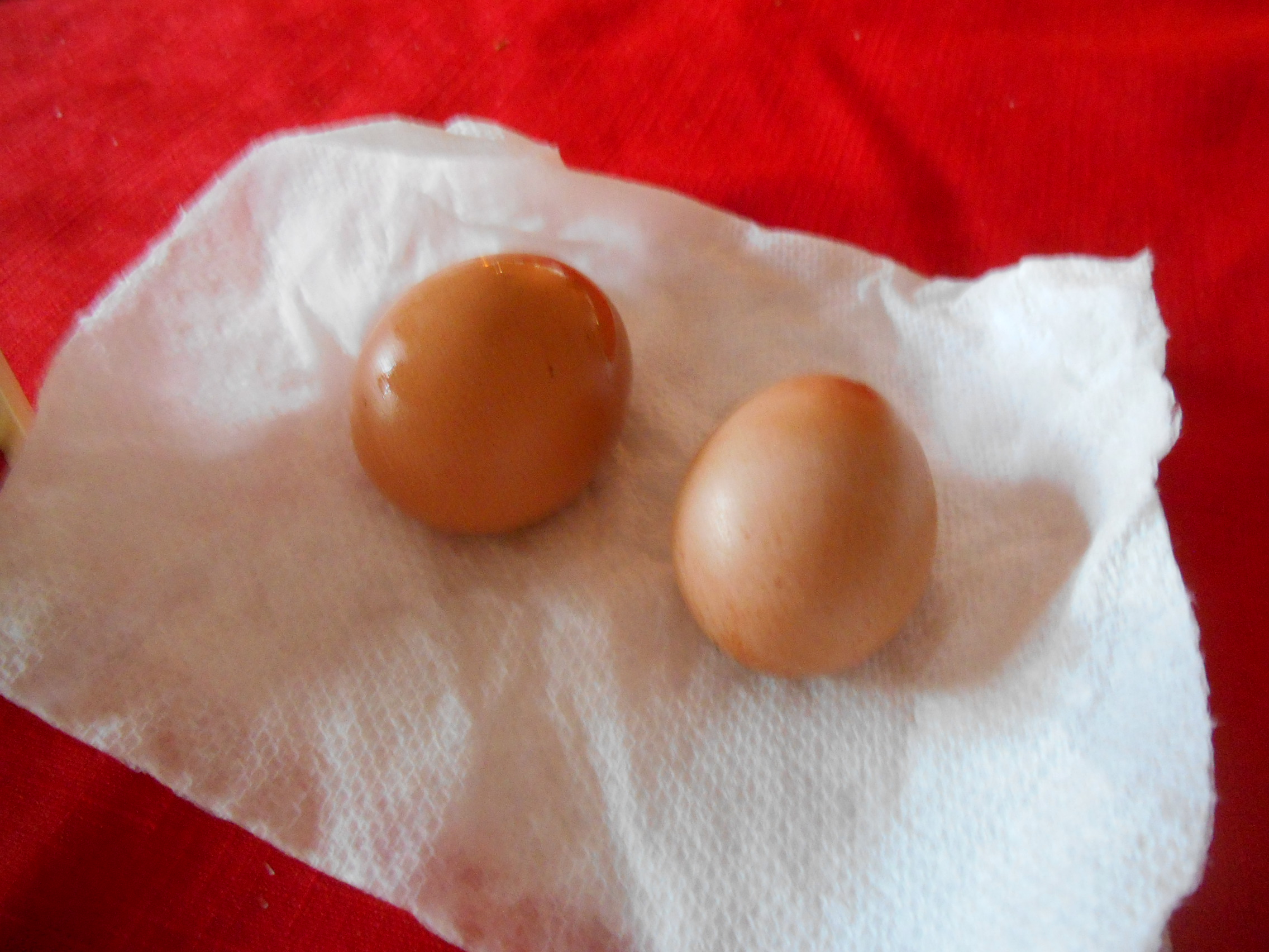 Milly & Daisy's eggs!