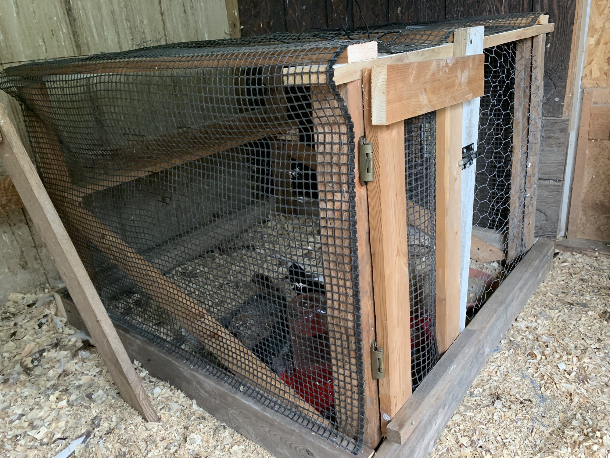 Mini holding coop