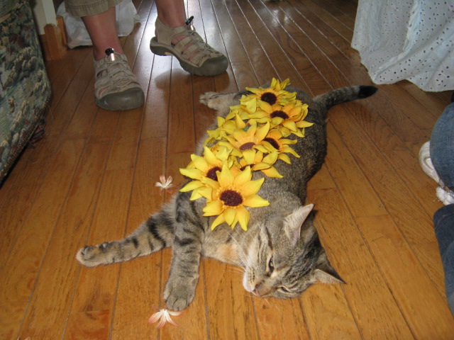 minx let the girls decorate her