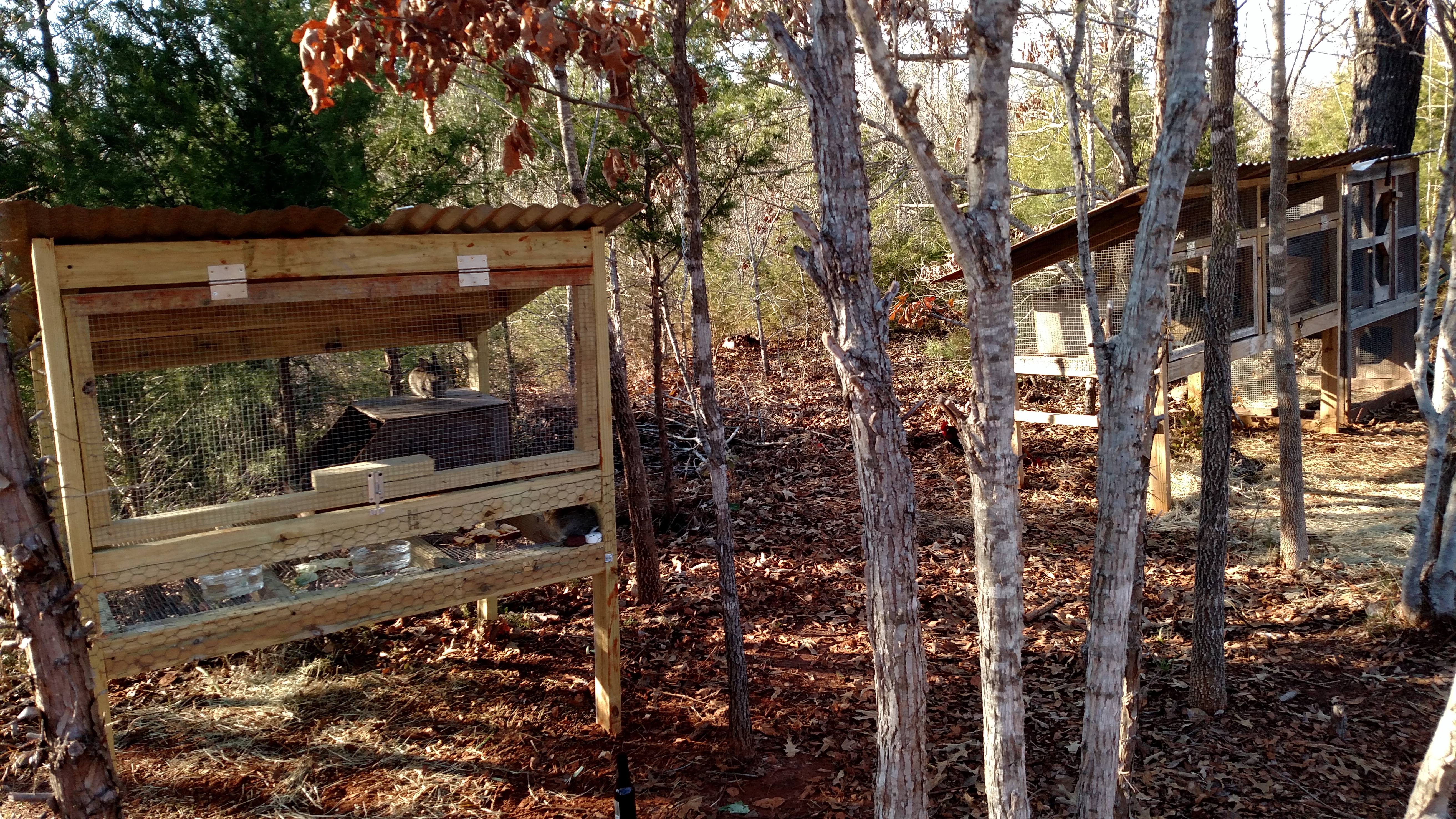 Misc. Chicken/rabbit hutches.