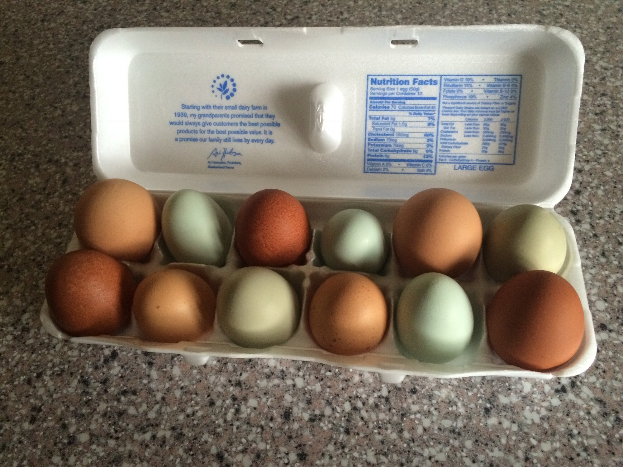 Mixed Eggs.jpg