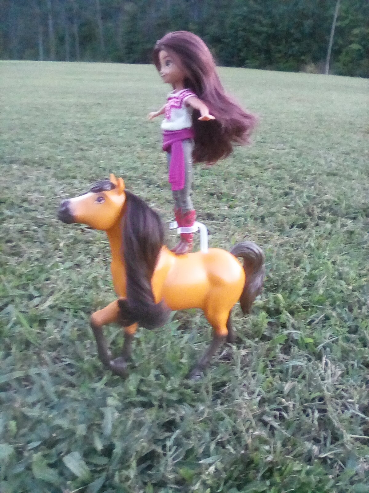 Model Horse Traditional Scale stallion trick riding