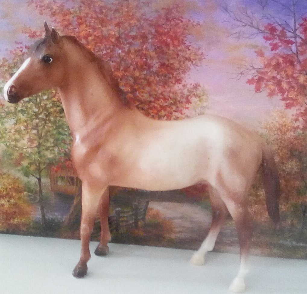 Model Horse