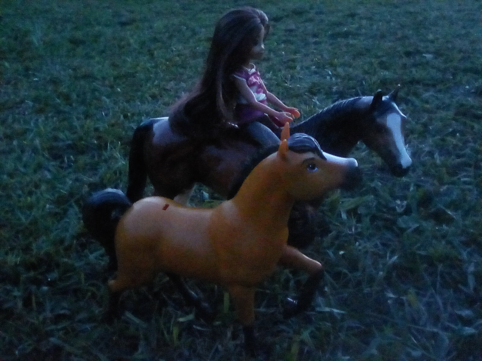 Model Horses scene