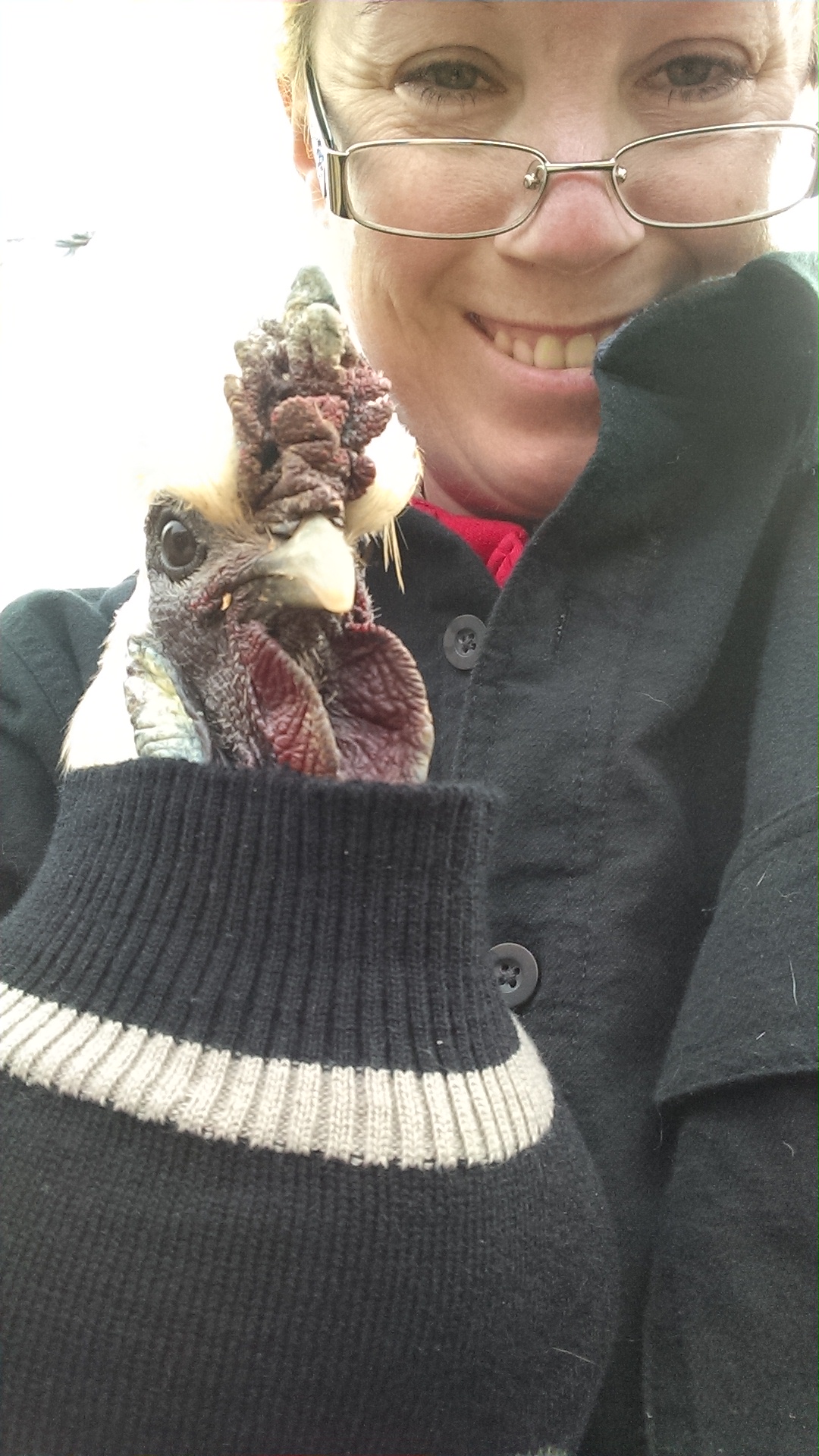 Moe didn't like his sweater. I set him down and he was right out of it in 2 seconds flat.