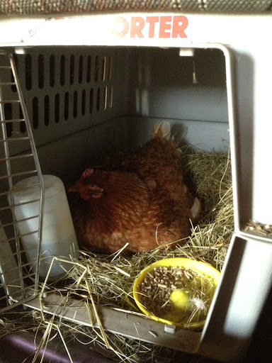 Mom in her birthing suite.