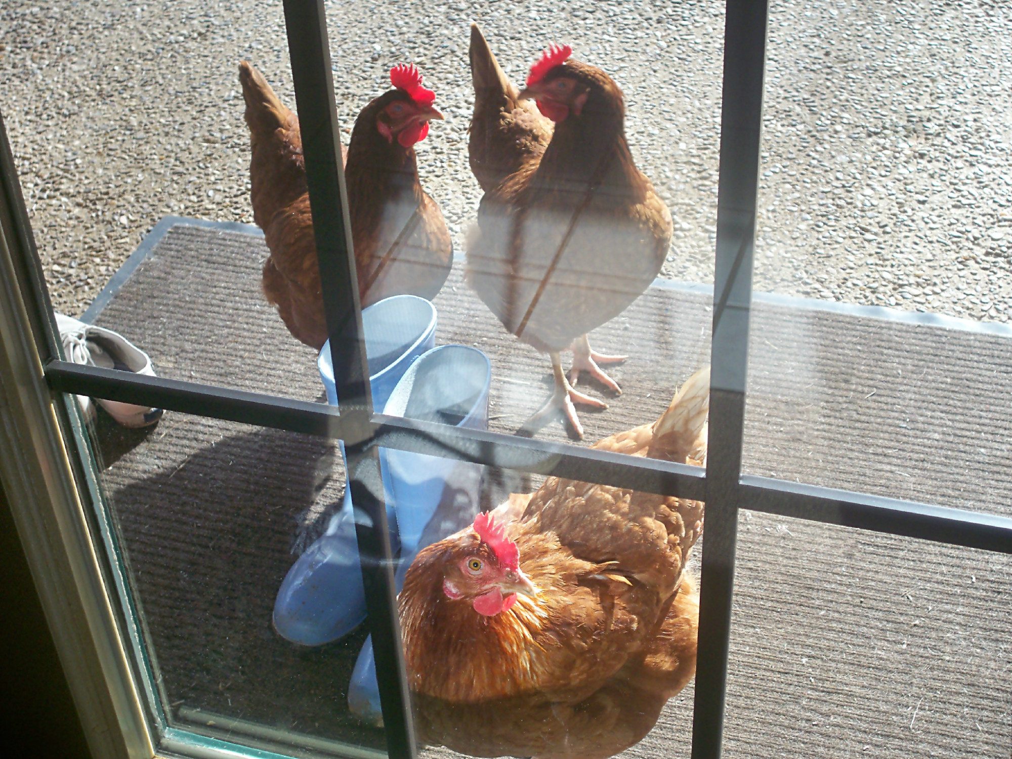 Mom, let us in!