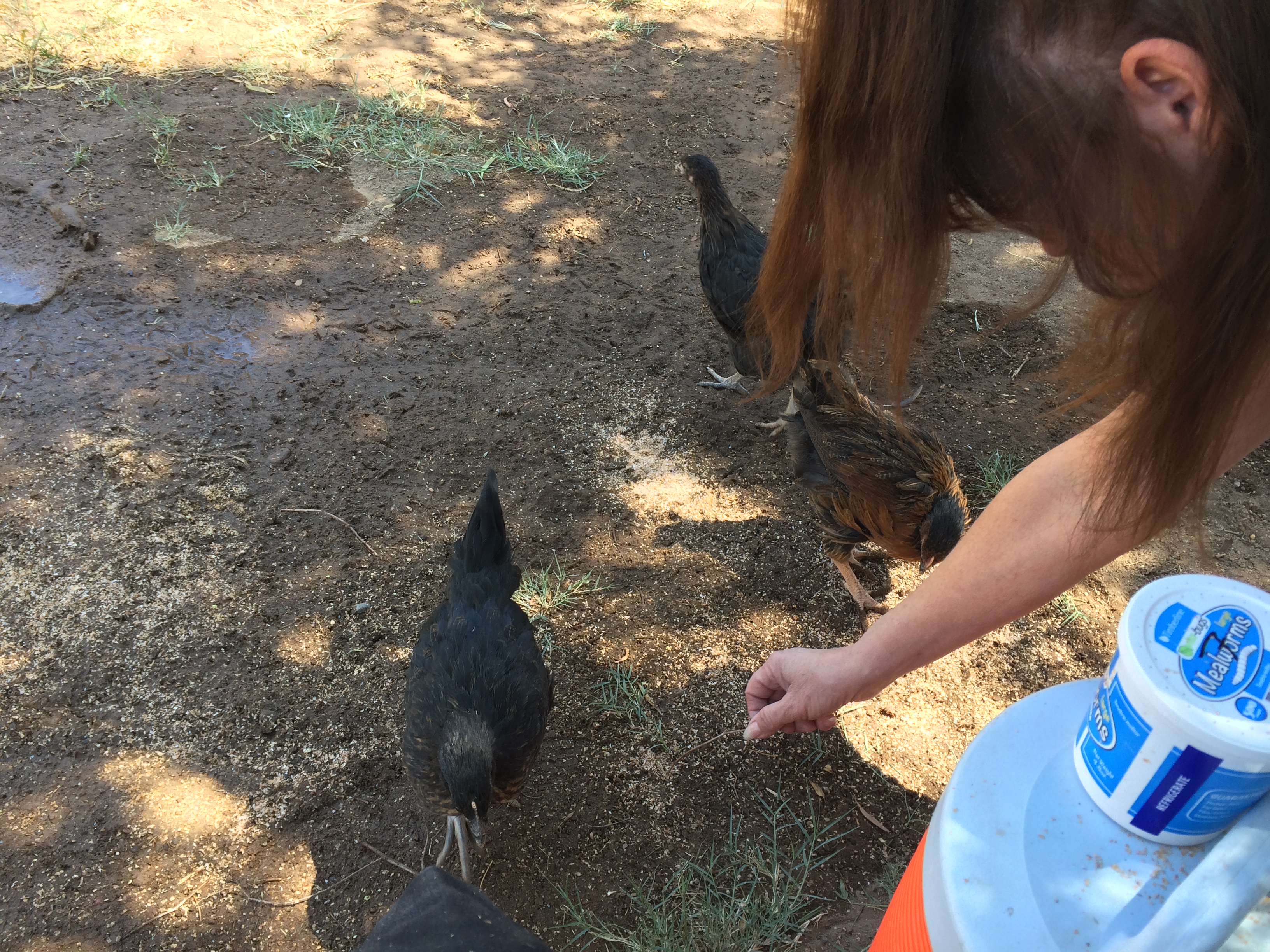 Mom visiting 2, handing out treats.