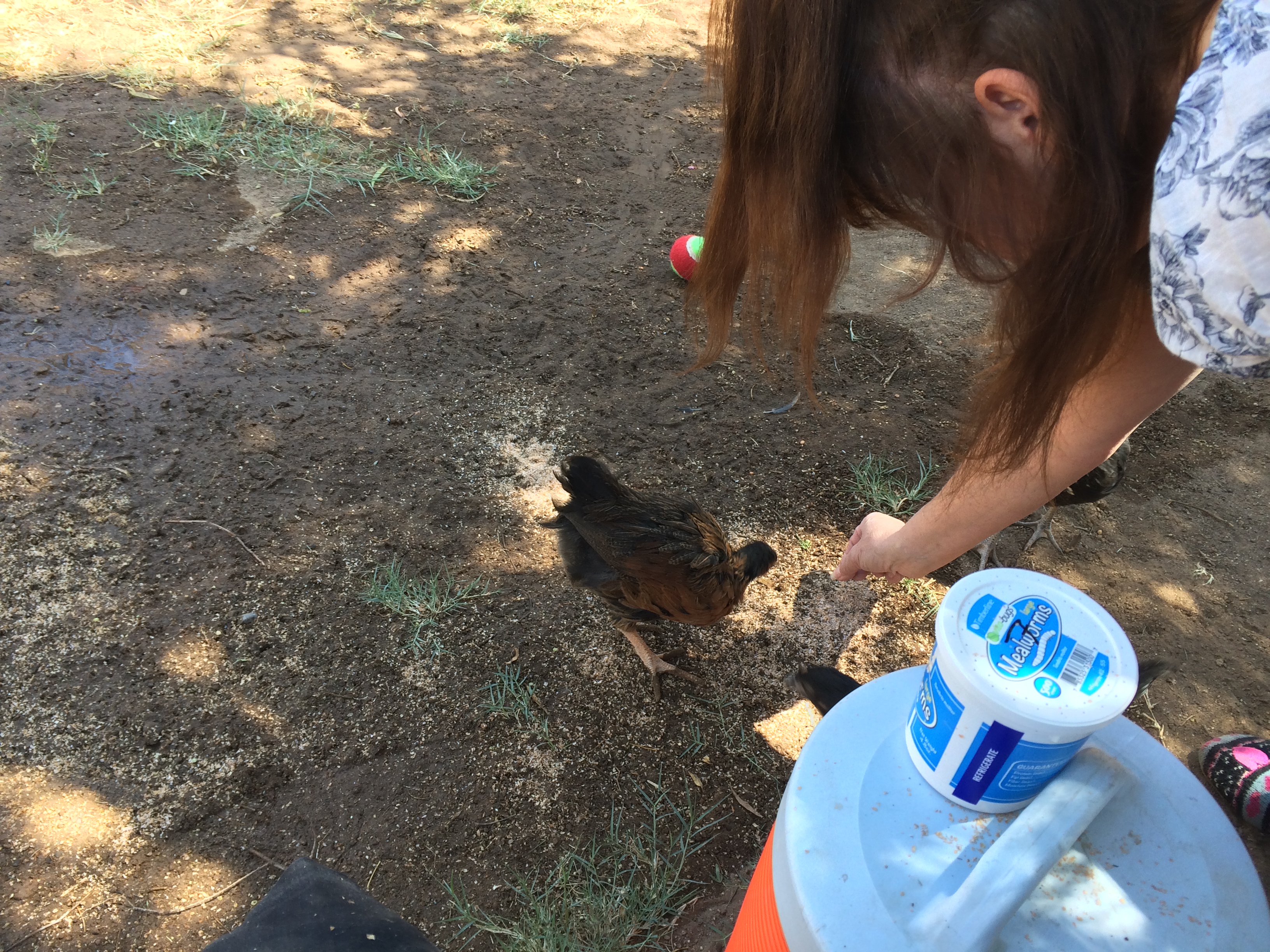 Mom visiting, handing out treats.