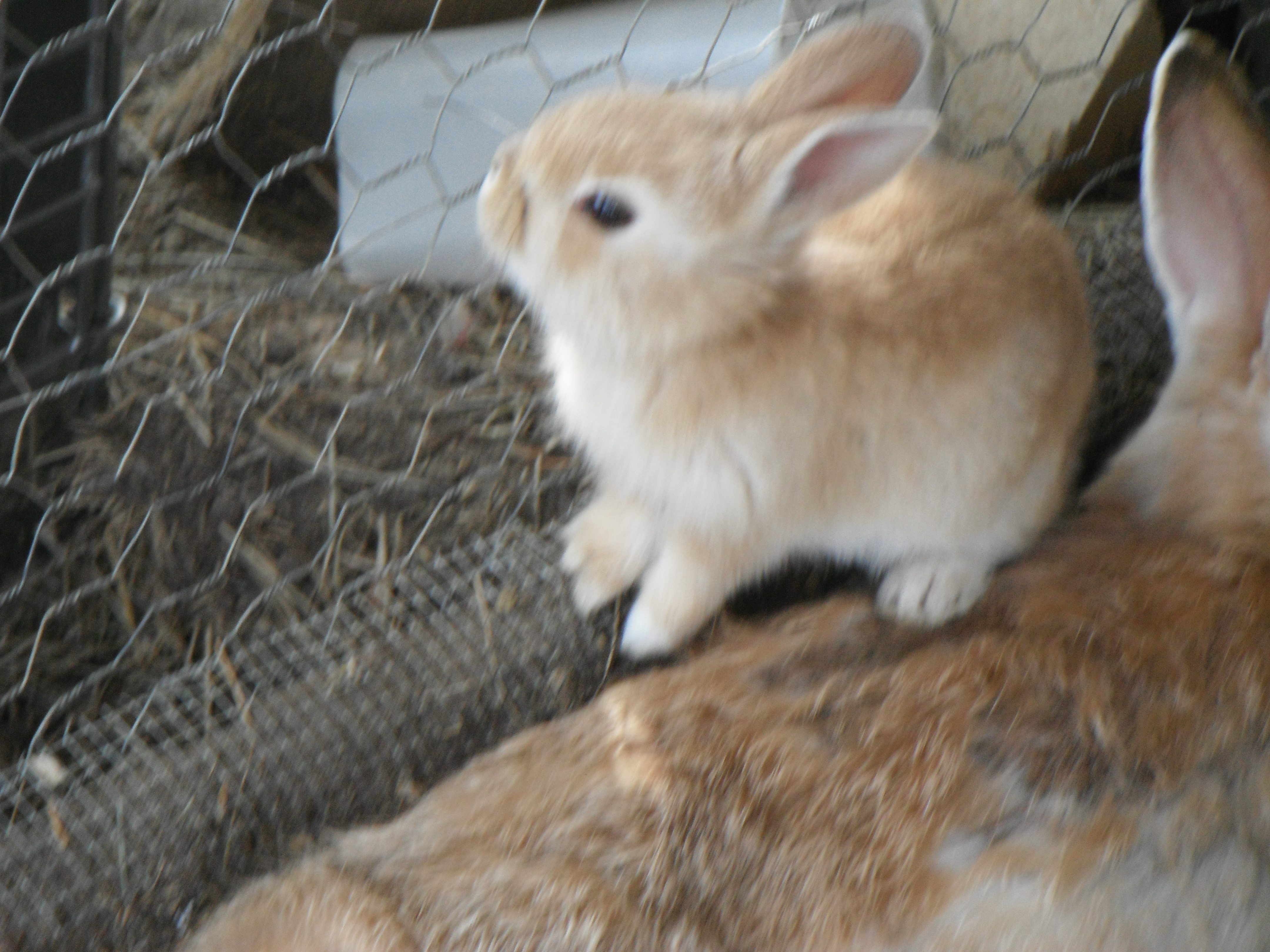Momma and baby ( one of them anyway!)
