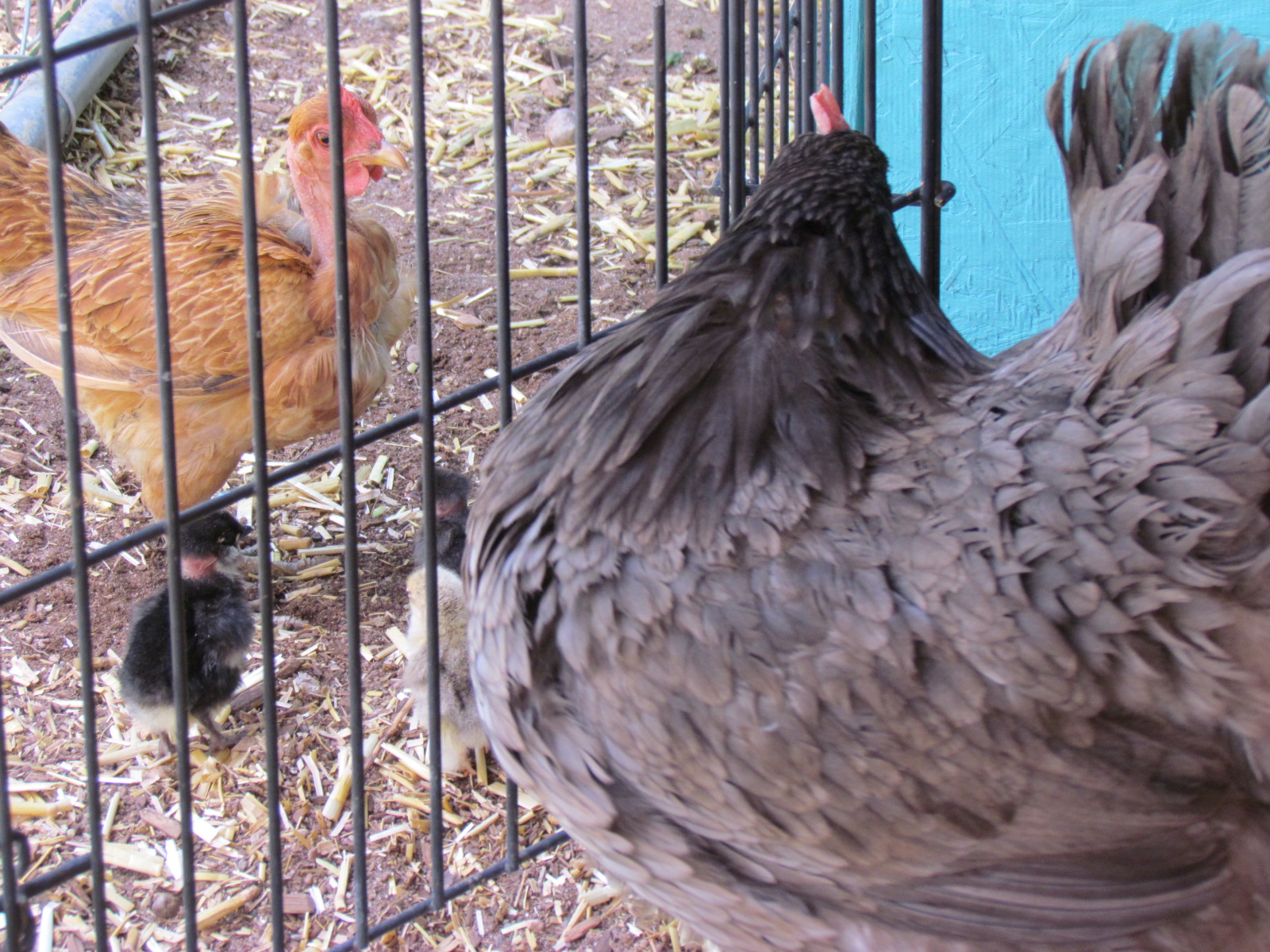 moms are different sizes